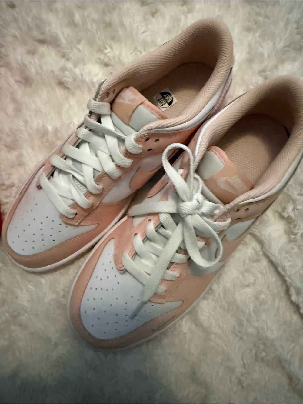 Nike low dunks size 6.5 youth